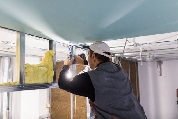 Best Residential Insulation in Lake Butler, FL