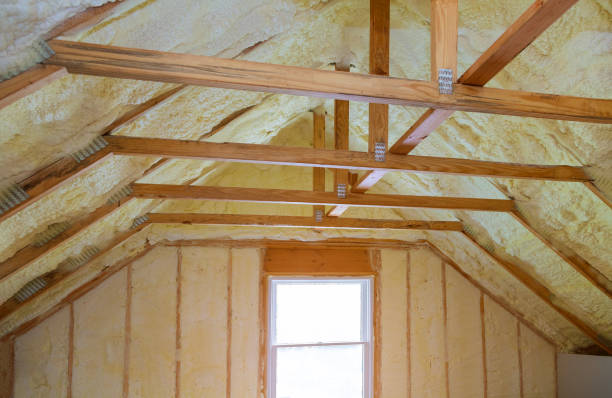 Best Insulation Maintenance and Repair in Lake Butler, FL